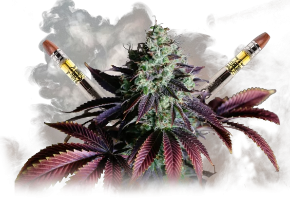 Do Vapes Have Calories?