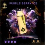 A sleek disposable vape pen for ACE Purple Berry Ice, showcasing its modern design against a clean background.