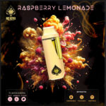 A sleek ACE Raspberry Lemonade disposable vape pen shown against a clean background, highlighting its vibrant packaging.