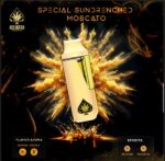 Buy Ace Special Sundrenched Moscato Vape | ACE VAPE STORE