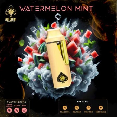ACE WATERMELON MINT disposable vape pen shown against a clean background.