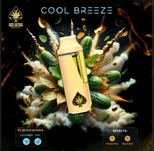 ace-cool-breeze-ace-ultra-premium-600×589-1.webp