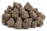 Black Cherry Gelato