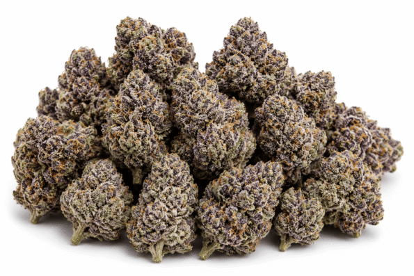 Black-Cherry-Gelato-strain.png