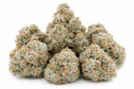 Grape-Gas-strain-1.png