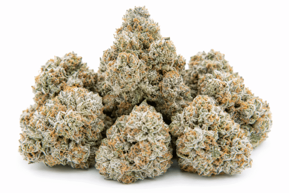 Grape-Gas-strain-1.png
