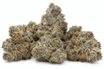 Apple Fritter