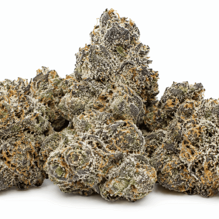Apple Fritter