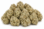 biscotti-strain.png