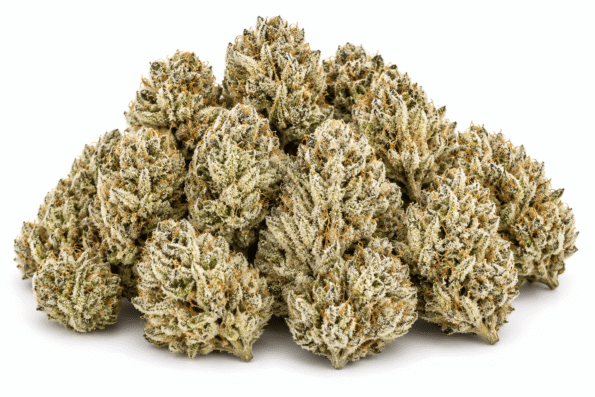 biscotti-strain.png