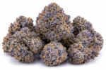 blue-nerdz-strain.png