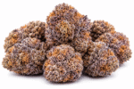 bubblegum-runtz-strain.png
