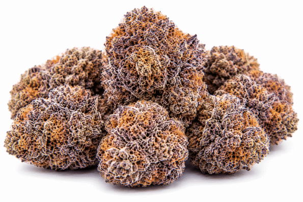 bubblegum-runtz-strain.png