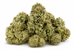 cherry-pie-strain.png