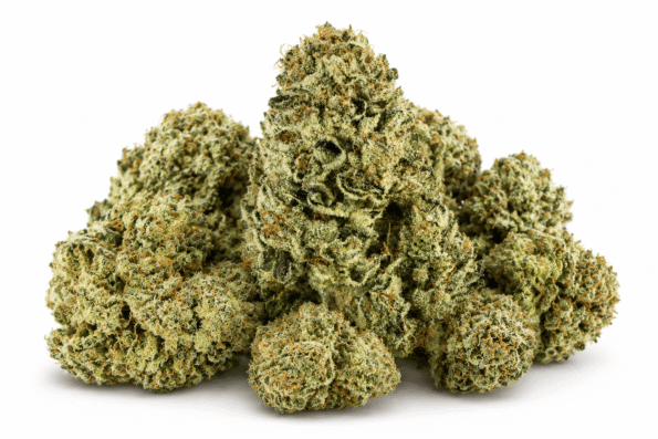 cherry-pie-strain.png