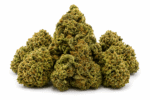 Godfather OG