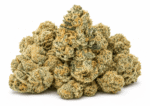 lava-cake-strain.png