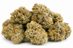 lemon-pound-cake-strain.png