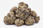 oreoz-strain.png