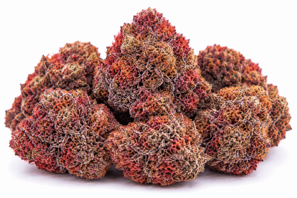 red-runtz-strain.png