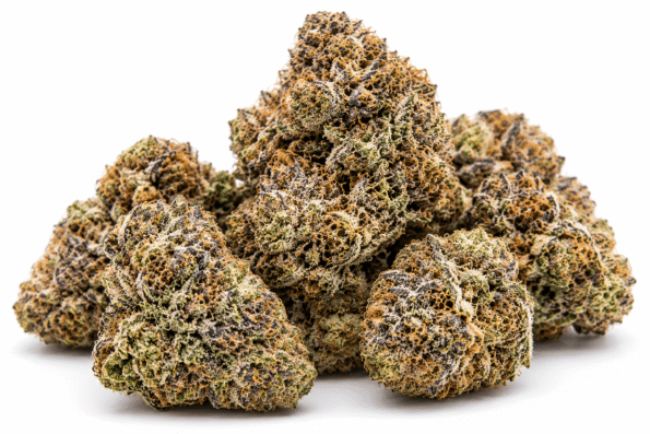 rs11-strain.png