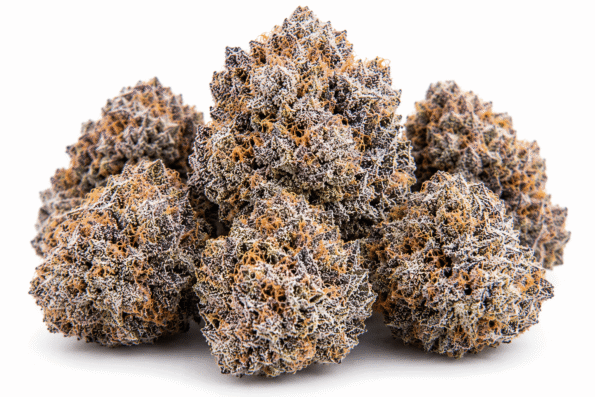 rs54-strain.png