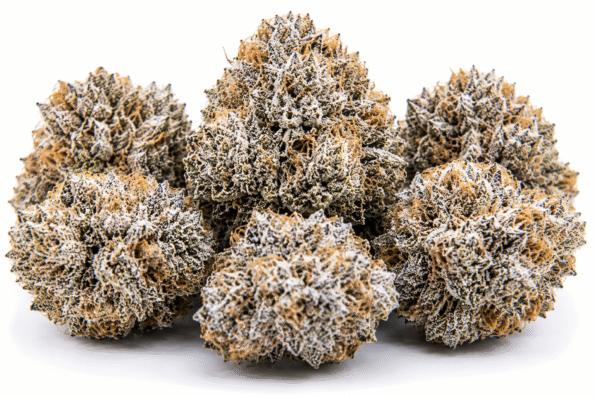 white-cherry-strain.png