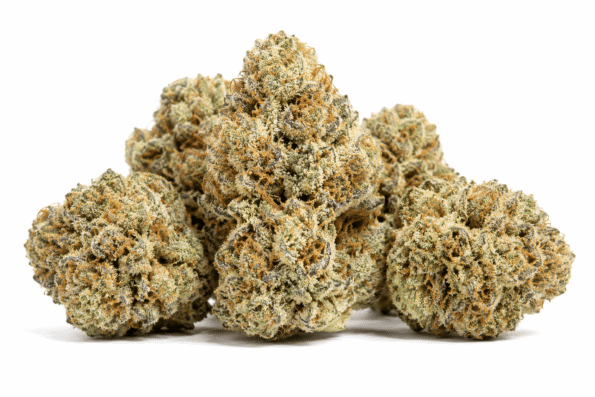 white-nerds-strain.png