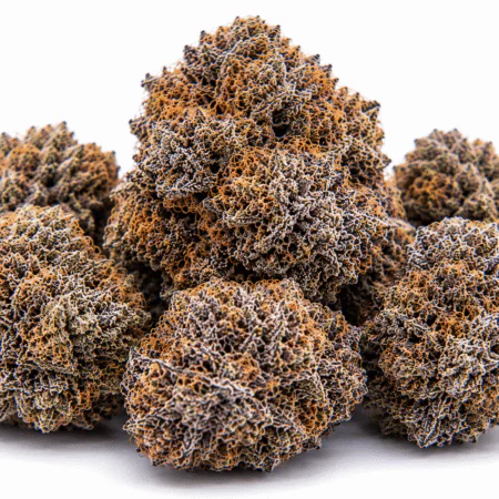 Zookies