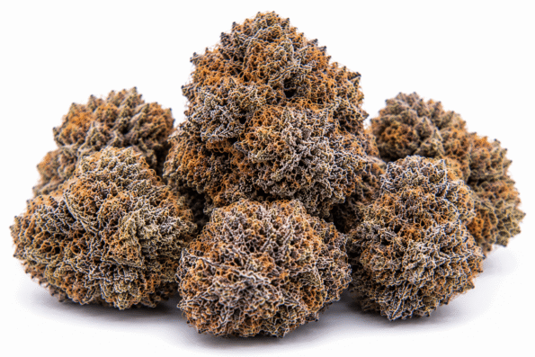 zookies-strain.png